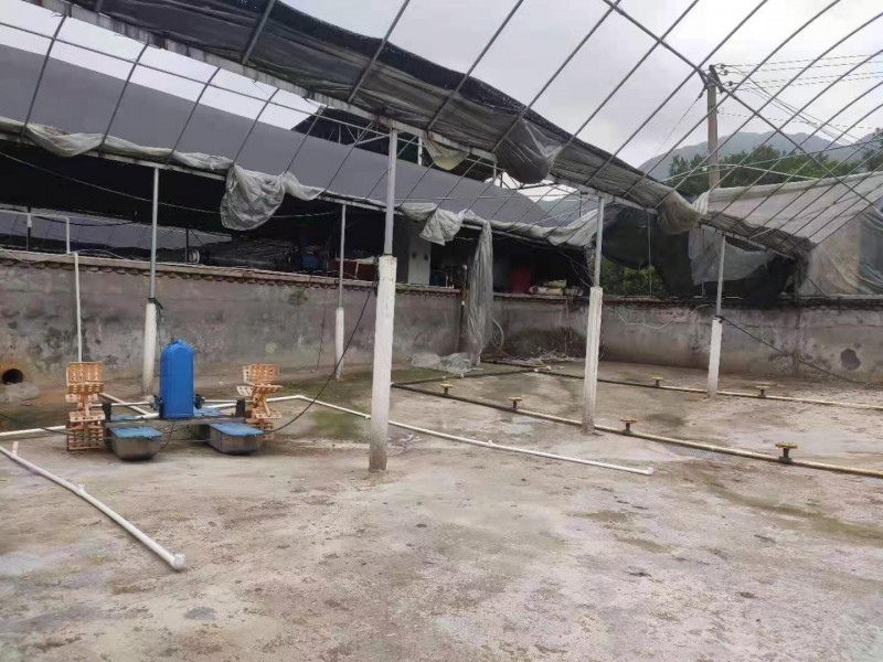 融珒池底未调整前
